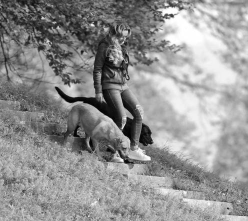 Alexandra Osterkorn Hundetrainerin isnhund.de